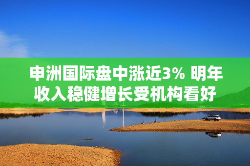 申洲国际盘中涨近3% 明年收入稳健增长受机构看好