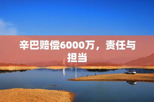 辛巴赔偿6000万，责任与担当