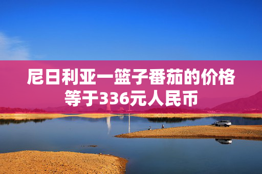 尼日利亚一篮子番茄的价格等于336元人民币