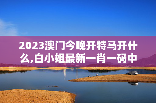 2023澳门今晚开特马开什么,白小姐最新一肖一码中奖技巧,3网通用：安装版v513.220