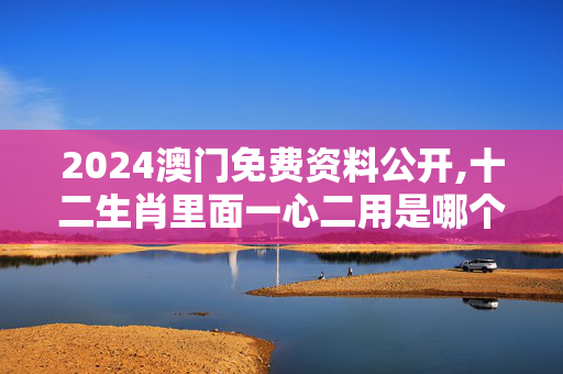 2024澳门免费资料公开,十二生肖里面一心二用是哪个,移动＼电信＼联通 通用版：V82.32.98