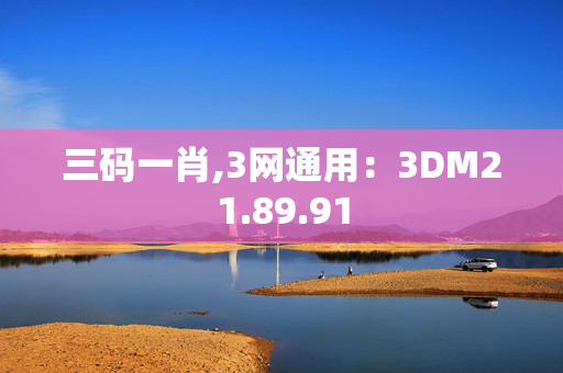 三码一肖,3网通用：3DM21.89.91