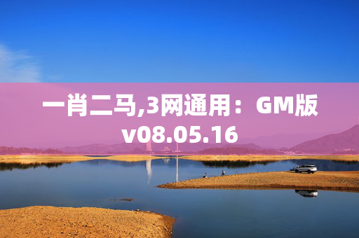 一肖二马,3网通用：GM版v08.05.16