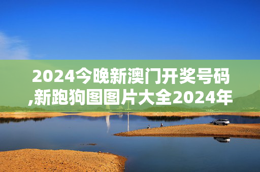 2024今晚新澳门开奖号码,新跑狗图图片大全2024年54期,移动＼电信＼联通 通用版：主页版v662.987