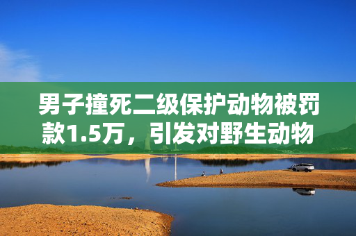 男子撞死二级保护动物被罚款1.5万，引发对野生动物保护的思考