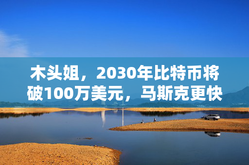 木头姐，2030年比特币将破100万美元，马斯克更快改变世界