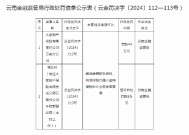 大家财险云南分公司被罚44万元：因编制虚假财务资料等