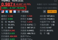 明珠货运盘前跌近11 2024年上半年营收同比降59.2% 净亏损扩大