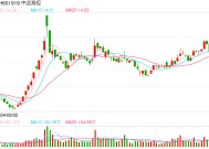 中远海控2024年净利润490.8亿，相当于日赚1.3亿