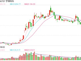 罗博特科并购“长跑”遇阻：多年筹划为何难获理想结果？