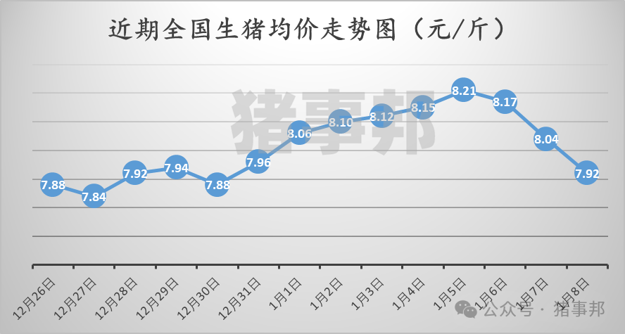 1月8日猪价汇总（延续跌势，但北方惜售情绪增强！）