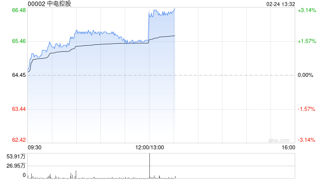 中电控股公布2024年业绩 股东应占溢利117.42亿港元同比增长76.44%